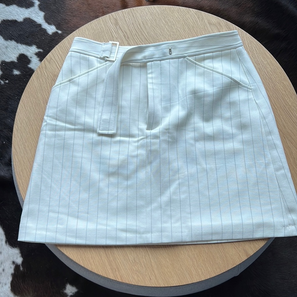 Club Monaco A-line Skirt